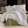 Lenjerie pat Ranforce 100% Cotton Pro (RCP12) – RALEX PUCIOASA