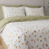Lenjerie pat Ranforce 100% Cotton Pro (RCP12) – RALEX PUCIOASA