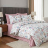 Lenjerie pat Ranforce 100% Cotton Pro (RCP3) – RALEX PUCIOASA