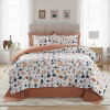Lenjerie pat Ranforce 100% Cotton Pro (RCP16) – RALEX PUCIOASA