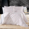 Lenjerie pat Ranforce 100% Cotton Pro (RCP38) – RALEX PUCIOASA