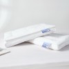 Imagine produs PERNĂ PUF GÂSCĂ „FLUFFLARIUM ROYAL” –