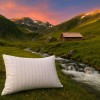 Imagine produs PERNĂ DAMASC UMPLUTĂ CU LÂNĂ 50 X 70 – RALEX PUCIOASA