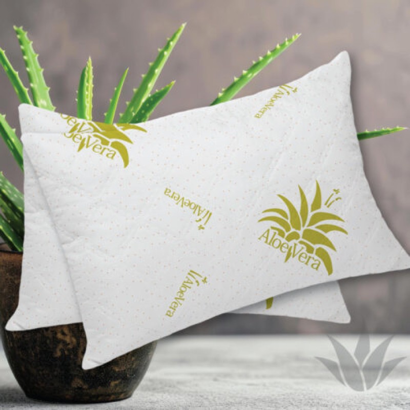 Imagine produs PERNĂ ALOE VERA – RALEX PUCIOASA