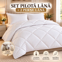 Promo: Pilotă + 2 Perne Incluse