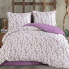 Lenjerie pat Ranforce 100% Cotton Pro (RCP54) – RALEX PUCIOASA