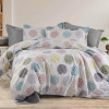 Lenjerie pat Ranforce 100% Cotton Pro (RCP63) – RALEX PUCIOASA