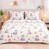 Lenjerie pat Ranforce 100% Cotton Pro (RCP78) – RALEX PUCIOASA