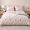 Lenjerie pat Ranforce 100% Cotton Pro (RCP81) – RALEX PUCIOASA