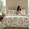 Lenjerie pat Ranforce 100% Cotton Pro (Aura Silk) – RALEX PUCIOASA