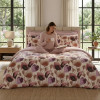 Lenjerie pat Ranforce 100% Cotton Pro (Bella Notte) – RALEX PUCIOASA