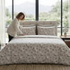 Lenjerie pat Ranforce 100% Cotton Pro (Core) – RALEX PUCIOASA