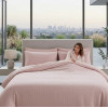 Lenjerie pat Ranforce 100% Cotton Pro (Couture Nest) – RALEX PUCIOASA