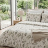 Lenjerie pat Ranforce 100% Cotton Pro (Eco Sleep) – RALEX PUCIOASA