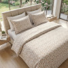 Lenjerie pat Ranforce 100% Cotton Pro (Fable) – RALEX PUCIOASA