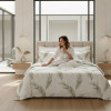 Lenjerie pat Ranforce 100% Cotton Pro (Heirloom) – RALEX PUCIOASA