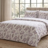 Lenjerie pat Ranforce 100% Cotton Pro (Ivory Glow) – RALEX PUCIOASA