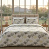 Lenjerie pat Ranforce 100% Cotton Pro (Minimalist Confort) – RALEX PUCIOASA