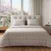 Lenjerie pat Ranforce 100% Cotton Pro (Mist And Silk) – RALEX PUCIOASA