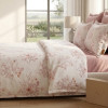 Lenjerie pat Ranforce 100% Cotton Pro (Noblesse Home) – RALEX PUCIOASA