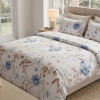 Lenjerie pat Ranforce 100% Cotton Pro (Noir Desire) – RALEX PUCIOASA