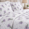 Lenjerie pat Ranforce 100% Cotton Pro (Prestige Satin) – RALEX PUCIOASA