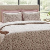 Imagine produs Lenjerie pat Ranforce 100% Cotton Pro (Pure Allure) –