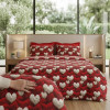 Imagine produs Lenjerie pat Ranforce 100% Cotton Pro (Pure Cotton) –