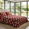 Imagine produs Lenjerie pat Ranforce 100% Cotton Pro (Pure Cotton) –