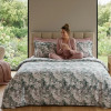 Lenjerie pat Ranforce 100% Cotton Pro (Raven) – RALEX PUCIOASA