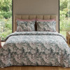 Lenjerie pat Ranforce 100% Cotton Pro (Raven) – RALEX PUCIOASA