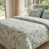 Lenjerie pat Ranforce 100% Cotton Pro (Royal Touch) – RALEX PUCIOASA