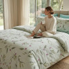 Lenjerie pat Ranforce 100% Cotton Pro (Royal Touch) – RALEX PUCIOASA