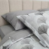 Lenjerie pat Ranforce 100% Cotton Pro (Satin Story) – RALEX PUCIOASA
