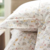 Lenjerie pat Ranforce 100% Cotton Pro (Seductive Edge) – RALEX PUCIOASA