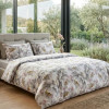 Lenjerie pat Ranforce 100% Cotton Pro (Vogue Vault) – RALEX PUCIOASA