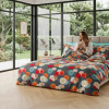 Lenjerie pat Ranforce 100% Cotton Pro (Botanica Home) – RALEX PUCIOASA